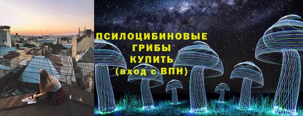 гидропоника Абаза