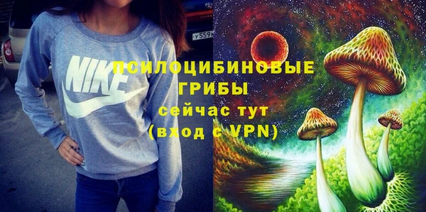 гашик Абинск