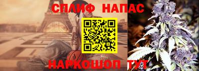 ешки Славгород