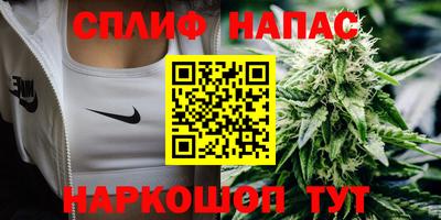 ешки Славгород