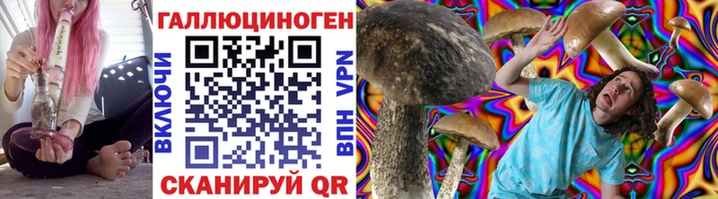 Псилоцибиновые грибы прущие грибы  МЕГА ссылки  Азнакаево 