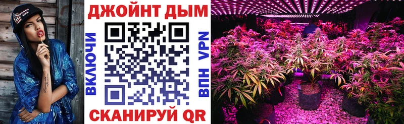 Бошки Шишки White Widow  продажа наркотиков  Азнакаево 